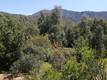 VENDE TERRENO 212 HECTAREAS, RINCONADA IDAHUE, COLTAUCO, VEGETACION, FAUNA, SENDEROS, VERTIENTES, VISTA Y SERVIDUMBRE