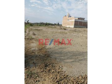 Venta De Terreno En Sector Los Alamos. 237.6 M2. Nvo Chimbote ID 1080880