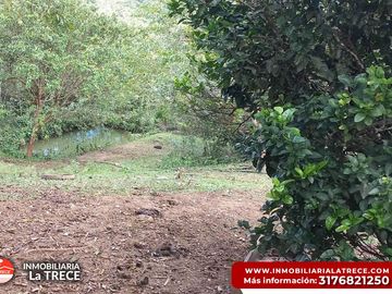 Se vende Finca con 2 glamping, casa en bareque en la parte alta de Media canoa vereda el Delirio YOTOCO - VALLE.