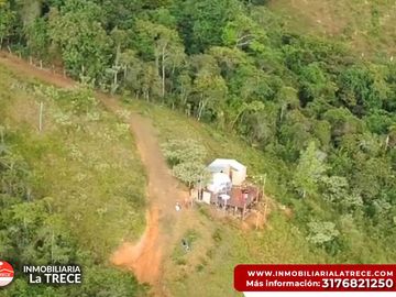 Se vende Finca con 2 glamping, casa en bareque en la parte alta de Media canoa vereda el Delirio YOTOCO - VALLE.