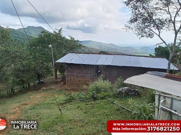 Se vende Finca con 2 glamping, casa en bareque en la parte alta de Media canoa vereda el Delirio YOTOCO - VALLE.
