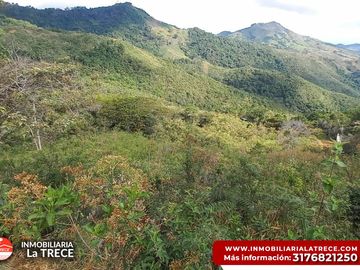Se vende Finca con 2 glamping, casa en bareque en la parte alta de Media canoa vereda el Delirio YOTOCO - VALLE.