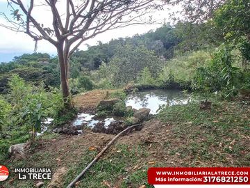 Se vende Finca con 2 glamping, casa en bareque en la parte alta de Media canoa vereda el Delirio YOTOCO - VALLE.
