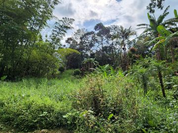 SE VENDE ESPECTACULAR FINCA EN CACHIPAY