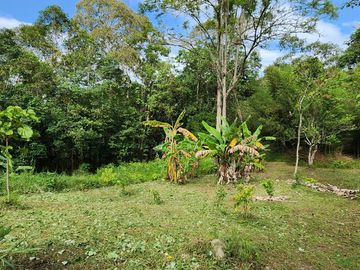 SE VENDE ESPECTACULAR FINCA EN CACHIPAY