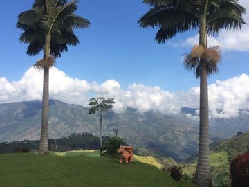 VENDO FINCA DE TRABAJO EN BARBOSA ANTIOQUIA.