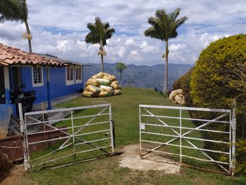 VENDO FINCA DE TRABAJO EN BARBOSA ANTIOQUIA.
