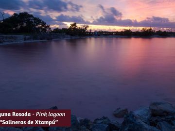 Condo de lujo frente al mar, Jacuzzi Privado, pre-construcción, Telchac Puerto, Yucatán