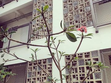 DIJUAL RUMAH KOST EXCLUSEIVE OCUVANCY BAGUS @ AREA CIUMBULEUIT BANDUNG