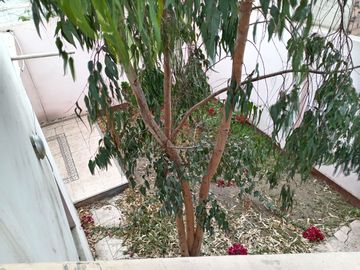 VENTA DE CASA, 226 M2, 4 DORMITORIOS, JARDIN, 2 PISOS, 3 BAÑOS