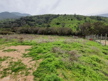 Parcela de agrado con conserjería, La Cruz