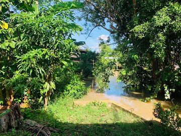 Land for sale with buildings, size 2 rai 74 sq wa, not far from the city, Near the road, easy to travel.