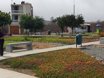 Venta de 2 lotes contiguos para vivienda, en urbanización Lomas de Pucusana, zona segura, con amplios parques, juegos para niños, pórtico de ingresos