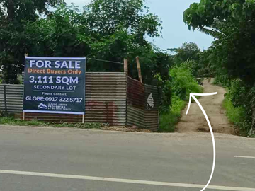 Massive Price Drop!  Prime Commercial Lot in Balagon, Leganes, Iloilo!
