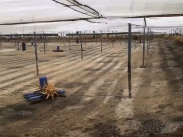Camaronera de Venta en Sector Engunga