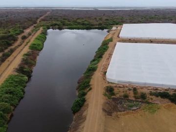 Camaronera de Venta en Sector Engunga