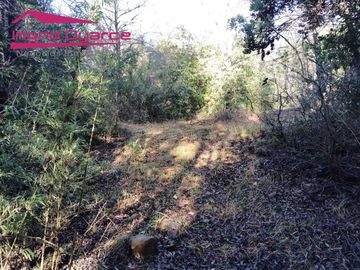 VENDO HERMOSA PARCELA CON MAJESTUOSO PAISAJE CORDILLERANO RODEADA POR ESTERO EN KM46.5 A LAS TERMAS DE CHILLAN