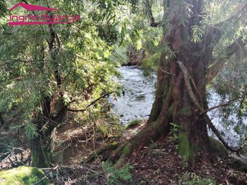 VENDO HERMOSA PARCELA CON MAJESTUOSO PAISAJE CORDILLERANO RODEADA POR ESTERO EN KM46.5 A LAS TERMAS DE CHILLAN