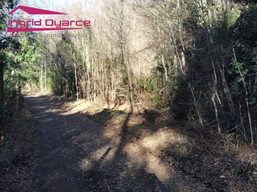VENDO HERMOSA PARCELA CON MAJESTUOSO PAISAJE CORDILLERANO RODEADA POR ESTERO EN KM46.5 A LAS TERMAS DE CHILLAN