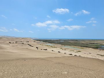LOTES CAMPESTRES EN LA MEJOR ZONA DE HUACHO POR LA PLAYA Y HUMEDAL DE PARAÍSO