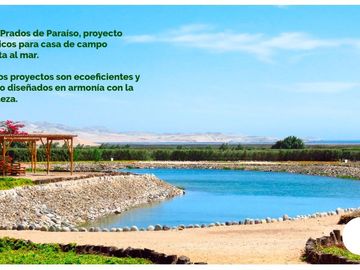 LOTES CAMPESTRES EN LA MEJOR ZONA DE HUACHO POR LA PLAYA Y HUMEDAL DE PARAÍSO