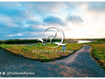 LOTES CAMPESTRES EN LA MEJOR ZONA DE HUACHO POR LA PLAYA Y HUMEDAL DE PARAÍSO