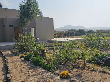 LOTES CAMPESTRES EN LA MEJOR ZONA DE HUACHO POR LA PLAYA Y HUMEDAL DE PARAÍSO