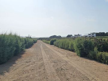 LOTES CAMPESTRES EN LA MEJOR ZONA DE HUACHO POR LA PLAYA Y HUMEDAL DE PARAÍSO