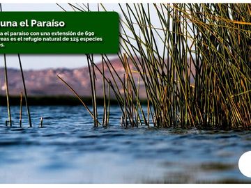 LOTES CAMPESTRES EN LA MEJOR ZONA DE HUACHO POR LA PLAYA Y HUMEDAL DE PARAÍSO