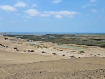 LOTES CAMPESTRES EN LA MEJOR ZONA DE HUACHO POR LA PLAYA Y HUMEDAL DE PARAÍSO