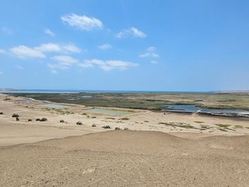 LOTES CAMPESTRES EN LA MEJOR ZONA DE HUACHO POR LA PLAYA Y HUMEDAL DE PARAÍSO