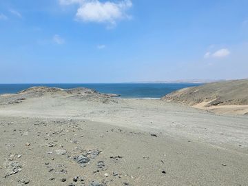 LOTES CAMPESTRES EN LA MEJOR ZONA DE HUACHO POR LA PLAYA Y HUMEDAL DE PARAÍSO