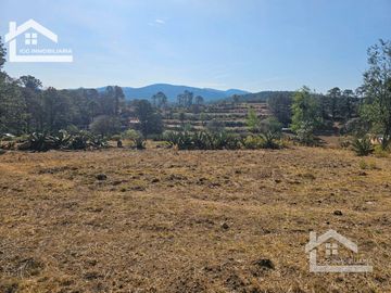TERRENO UBICAOD EN EL GUAJOLOTE EPAZOYUCAN $550 EL M2