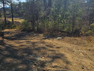 TERRENO UBICAOD EN EL GUAJOLOTE EPAZOYUCAN $550 EL M2