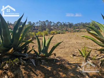 TERRENO UBICAOD EN EL GUAJOLOTE EPAZOYUCAN $550 EL M2