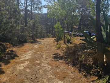 TERRENO UBICAOD EN EL GUAJOLOTE EPAZOYUCAN $550 EL M2