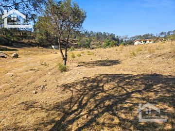 TERRENO UBICAOD EN EL GUAJOLOTE EPAZOYUCAN $550 EL M2