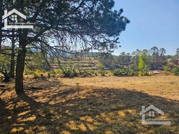 TERRENO UBICAOD EN EL GUAJOLOTE EPAZOYUCAN $550 EL M2