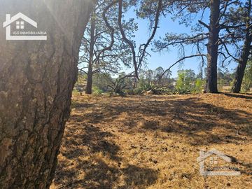 TERRENO UBICAOD EN EL GUAJOLOTE EPAZOYUCAN $550 EL M2