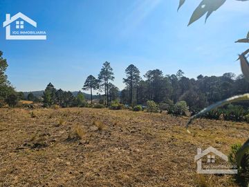 TERRENO UBICAOD EN EL GUAJOLOTE EPAZOYUCAN $550 EL M2