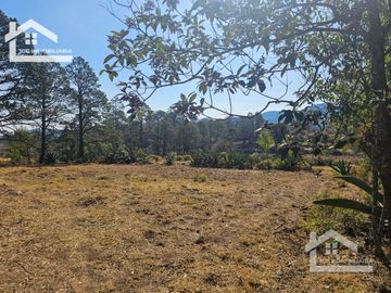TERRENO UBICAOD EN EL GUAJOLOTE EPAZOYUCAN $550 EL M2