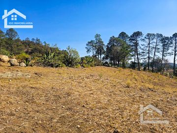 TERRENO UBICAOD EN EL GUAJOLOTE EPAZOYUCAN $550 EL M2