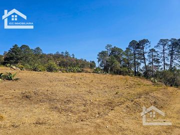 TERRENO UBICAOD EN EL GUAJOLOTE EPAZOYUCAN $550 EL M2