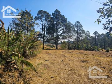 TERRENO UBICAOD EN EL GUAJOLOTE EPAZOYUCAN $550 EL M2