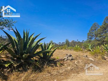 TERRENO UBICAOD EN EL GUAJOLOTE EPAZOYUCAN $550 EL M2