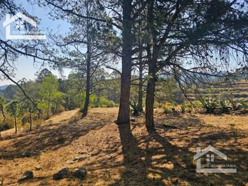 TERRENO UBICAOD EN EL GUAJOLOTE EPAZOYUCAN $550 EL M2