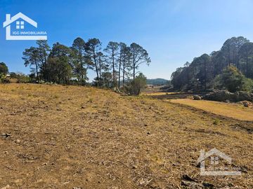 TERRENO UBICAOD EN EL GUAJOLOTE EPAZOYUCAN $550 EL M2