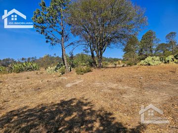 TERRENO UBICAOD EN EL GUAJOLOTE EPAZOYUCAN $550 EL M2