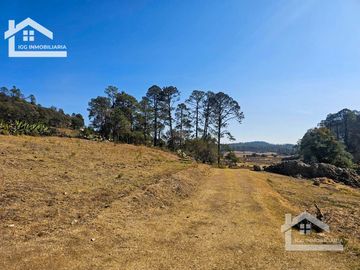 TERRENO UBICAOD EN EL GUAJOLOTE EPAZOYUCAN $550 EL M2