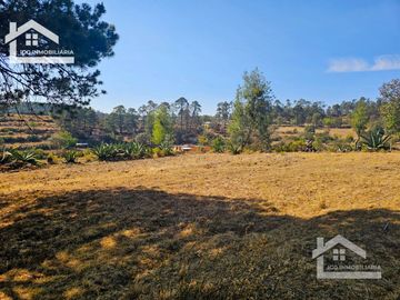 TERRENO UBICAOD EN EL GUAJOLOTE EPAZOYUCAN $550 EL M2